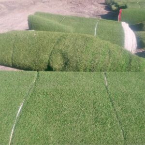 7’x50’ Turf $250