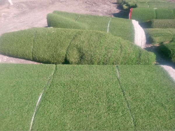 7’x50’ Turf $250